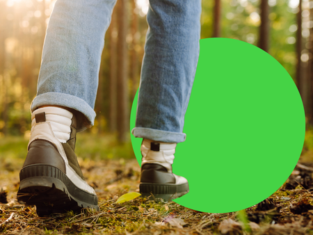 Hoe natuur onze mentale gezondheid verbetert