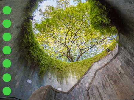 Onder de loep | De kracht van Nature Based-interventions