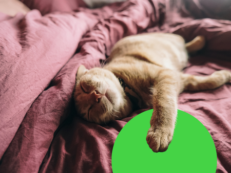 Slapen of wakker? Hersenactiviteit verklaart ervaringen tijdens slaapstoornissen