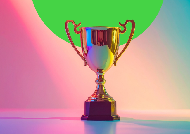 erkenning systeemtherapeut