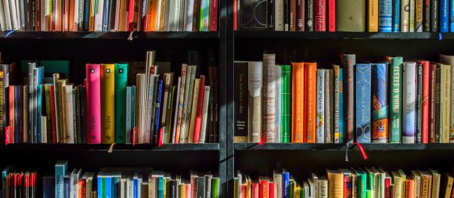 Boekenclub RINO amsterdam